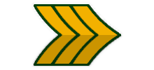 Military Rank